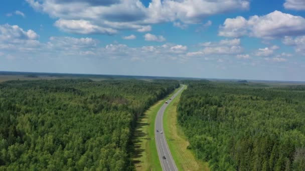 Flygfoto ovanifrån på landsväg i skog — Stockvideo