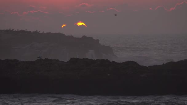 Las gaviotas gritan y vuelan sobre las rocas en la puesta de sol del mar — Vídeos de Stock