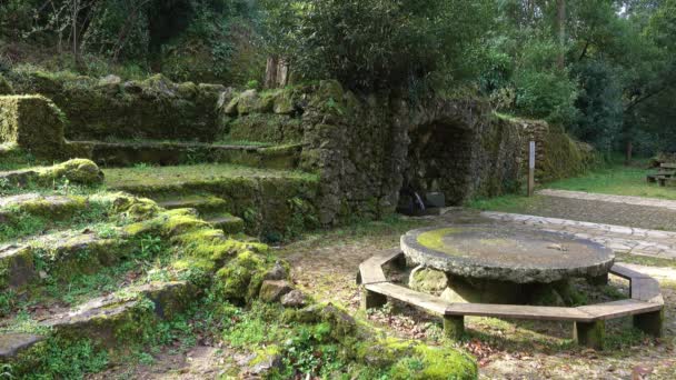 Stenen structuren en fontein in het bos van Bussaco — Stockvideo