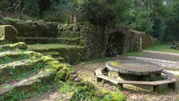 Estruturas de pedra e fonte na floresta de Bussaco — Vídeo de Stock