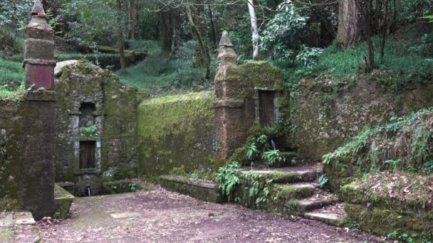 Stenen structuren en fontein in het bos van Bussaco — Stockvideo