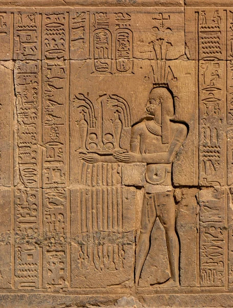 Hieroglyfiska sniderier i forntida tempel — Stockfoto