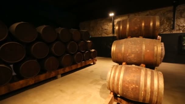 Sud naplněný portským vínem ve vinném sklepě — Stock video