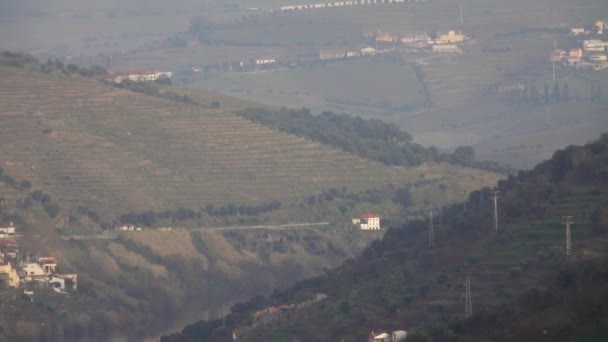 Αμπελώνες στην κοιλάδα του ποταμού Douro — Αρχείο Βίντεο