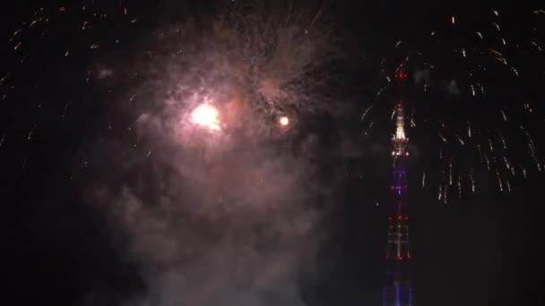 Hermoso espectáculo de fuegos artificiales de colores en el cielo nocturno — Vídeos de Stock