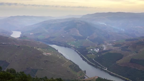 Viñedos adosados en el valle del río Duero — Vídeos de Stock