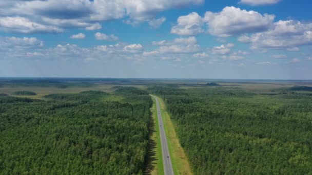 Vista aérea de la carretera del país en el bosque — Vídeo de stock