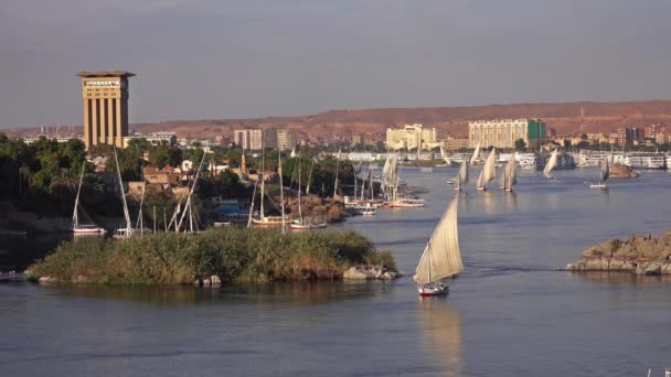 Felucca lodě na řece Nil v Aswan Egypt — Stock video