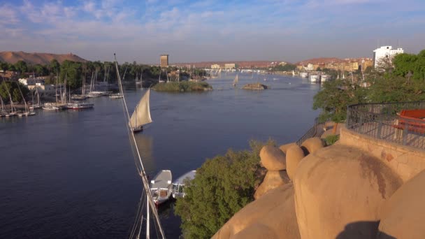 Felucca hajók a Nílus folyó Aswan Egyiptom — Stock videók