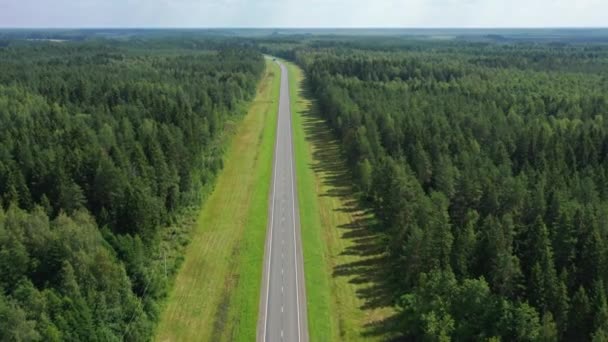 Vista aérea superior da estrada do país na floresta — Vídeo de Stock