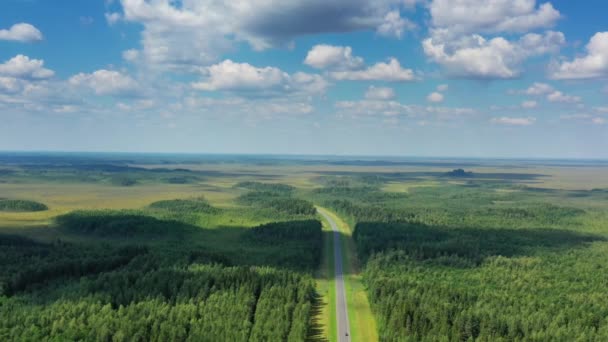 Vista aérea de la carretera del país en el bosque — Vídeos de Stock