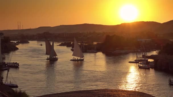 Günbatımında Aswan 'da Nil Nehri' ndeki felucca tekneleri — Stok video