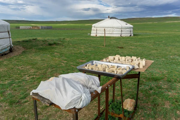 Mongolský gurt ze sušení kyselého mléka — Stock fotografie