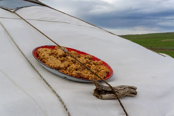 Gurt mongol de secado de leche agria — Foto de Stock