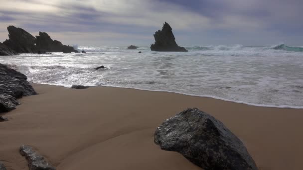 Portekiz 'deki Praia da Adraga kumlu plajı — Stok video