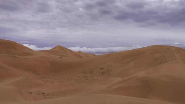 Dunas de arena bajo un sombrío cielo nublado en Gobi — Vídeos de Stock