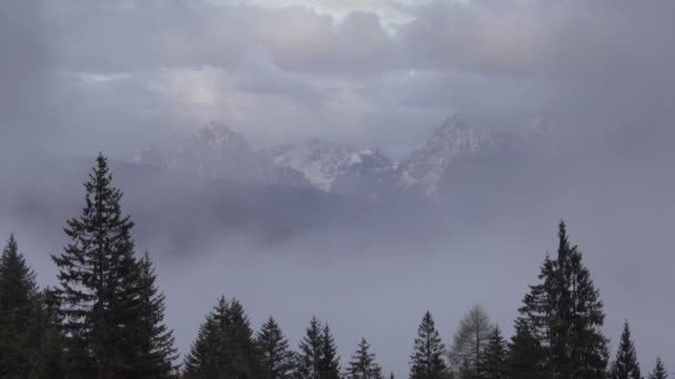 Horské Alpy krajina se stromy v mlze mraky — Stock video