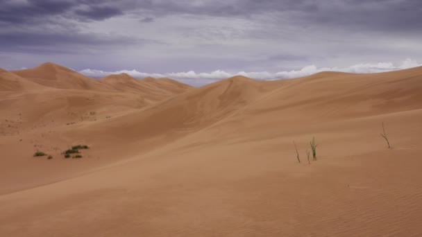 Dunas de arena bajo un sombrío cielo nublado en Gobi — Vídeos de Stock