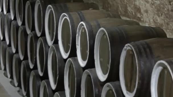 Barrel filled with wine in wine cellar — Αρχείο Βίντεο