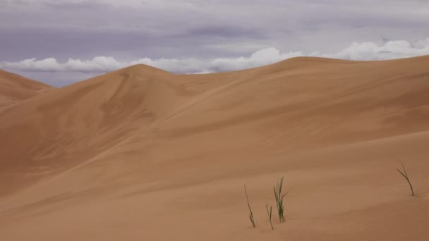 Dunas de arena bajo un sombrío cielo nublado en Gobi — Vídeos de Stock