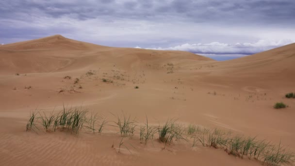 Sand dunes under a gloomy cloudy sky in Gobi — Stock Video