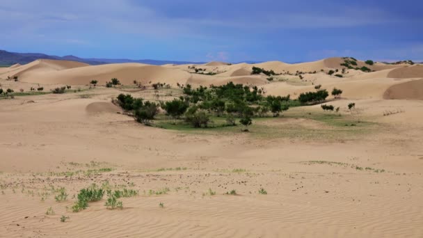 Dunas de areia Deserto de Bayan Gobi na Mongólia — Vídeo de Stock