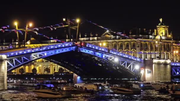Drawn Palace γέφυρα και το Winter Palace τη νύχτα — Αρχείο Βίντεο