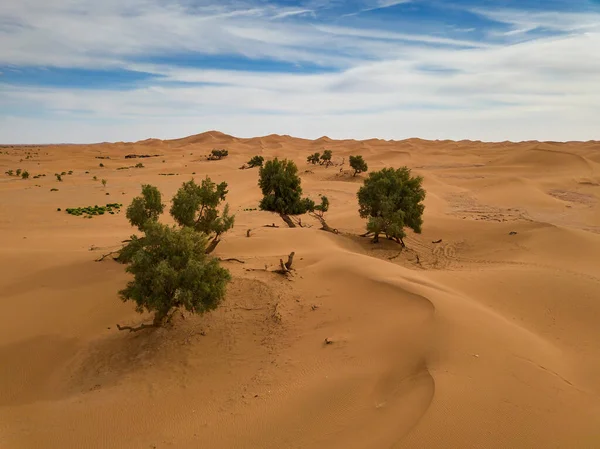 Uitzicht Vanuit Lucht Zandduinen Bomen Sahara Woestijn Afrika — Stockfoto