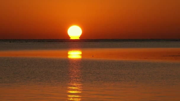 Schoonheid Landschap Met Zonsopgang Zee — Stockvideo