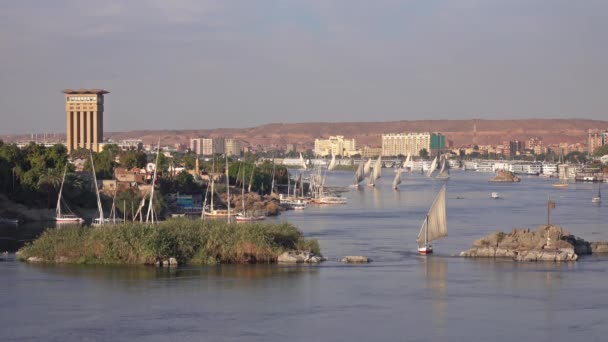 Hermoso Paisaje Con Barcos Felucca Río Nilo Asuán Atardecer Egipto — Vídeo de stock