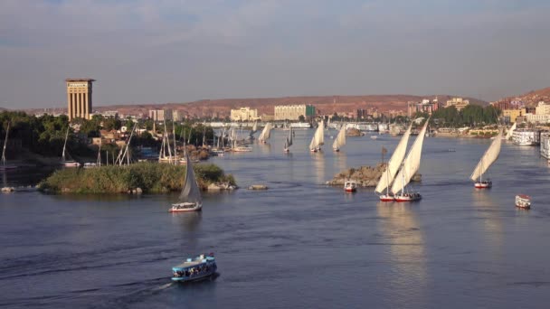 이집트 아스완의 해가질 나일강에 배들이 아름다운 — 비디오
