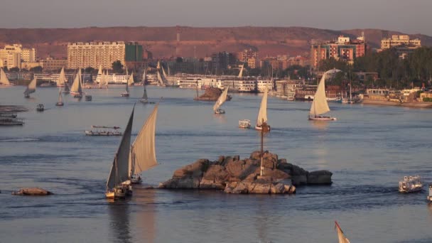 Vackert Landskap Med Felucca Båtar Nilen Floden Aswan Vid Solnedgången — Stockvideo