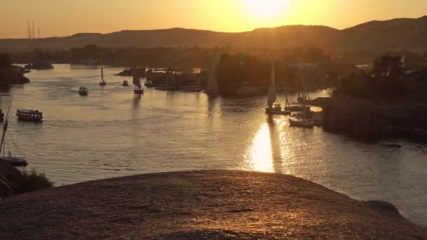 Hermosa Vista Los Barcos Felucca Río Nilo Asuán Atardecer Egipto — Vídeos de Stock