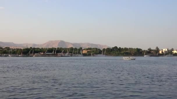 Nilen Med Båtar Luxor Egypten — Stockvideo