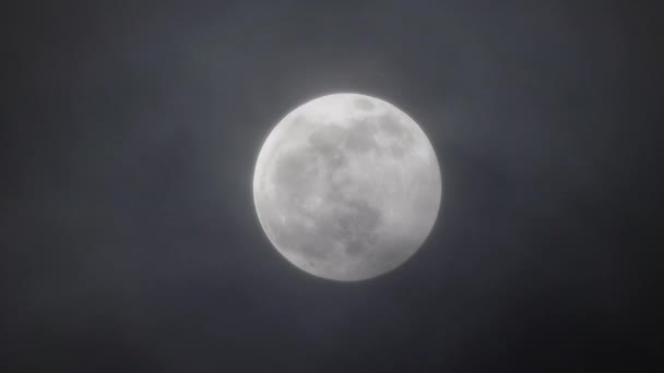 Volle Maan Bewegend Tussen Wolken — Stockvideo