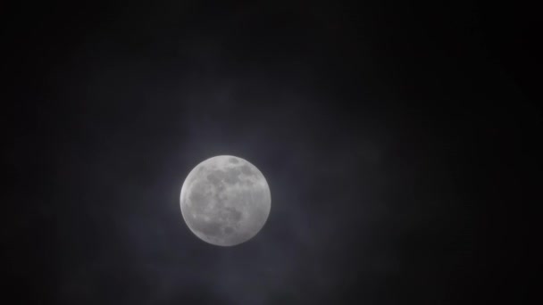 Luna Llena Moviéndose Entre Nubes — Vídeo de stock