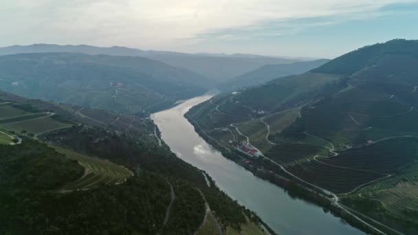 Aerial View Terraced Vineyards Douro River Valley Portugal — Stock Video