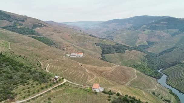 Aerial View Terraced Vineyards Douro River Valley Portugal — Stock Video