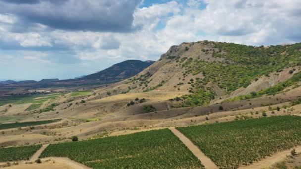 クリミア半島の山のブドウ畑の空中の美しい景色 — ストック動画