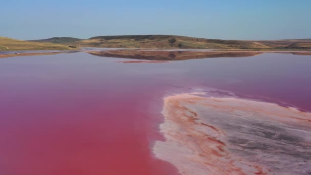 Pembe Gölün Havadan Görünüşü Karalarsky Parkındaki Chokrak Gölü Kırım — Stok video