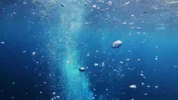 Luftblasen Unter Wasser — Stockvideo