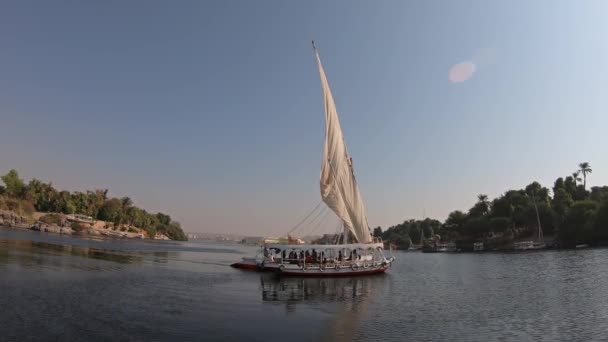 Egyptiska Felucca Båt Seglar Längs Nilen Floden Aswan — Stockvideo