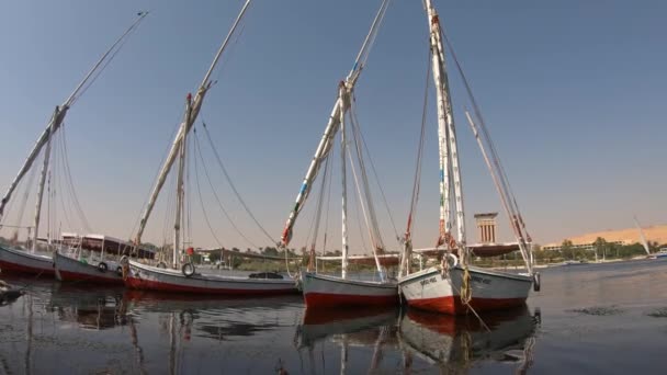 埃及Felucca船沿着阿斯旺尼罗河航行 — 图库视频影像