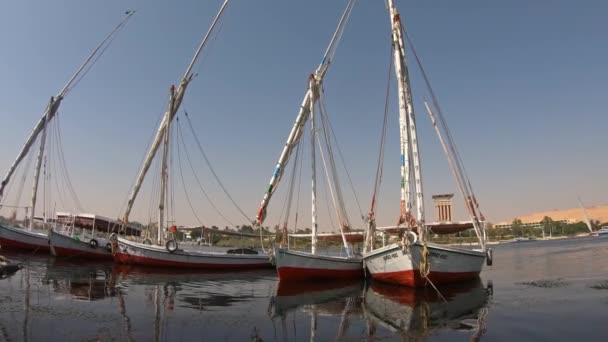 Egyptský Felucca Loď Plující Podél Řeky Nil Aswanu — Stock video