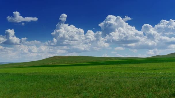 Bulutlu Gökyüzünün Altında Çimenli Yeşil Tepe Zaman Ayarlı — Stok video