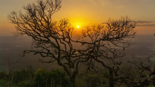 夕日の背景に古い木の裸の枝 山からの眺め ポルトガル 傾斜ビューのタイムラプス4K — ストック動画