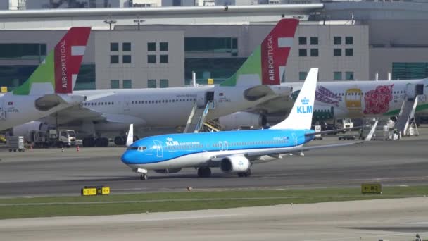 Lisbon Portugal Circa Feb 2019 Avión Boeing 737 Bca Klm — Vídeo de stock