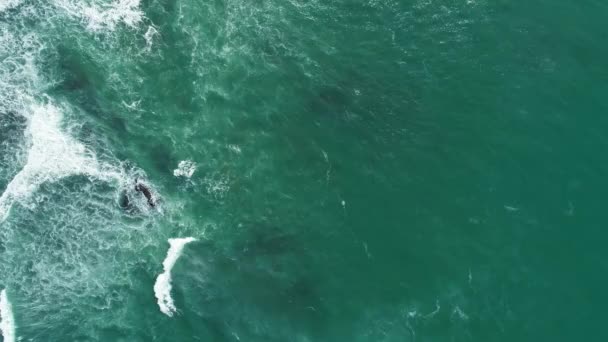 Légi Felvétel Óceán Hullámain Portugália Partjainál — Stock videók