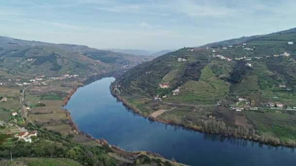 Flygfoto Över Terrasserade Vingårdar Dourodalen Portugal — Stockvideo