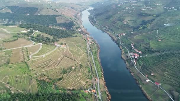 Flygfoto Över Terrasserade Vingårdar Dourodalen Portugal — Stockvideo